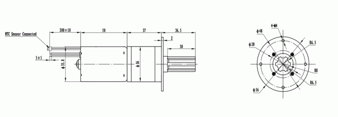 Robuster schwanzloser DC-Motor 2